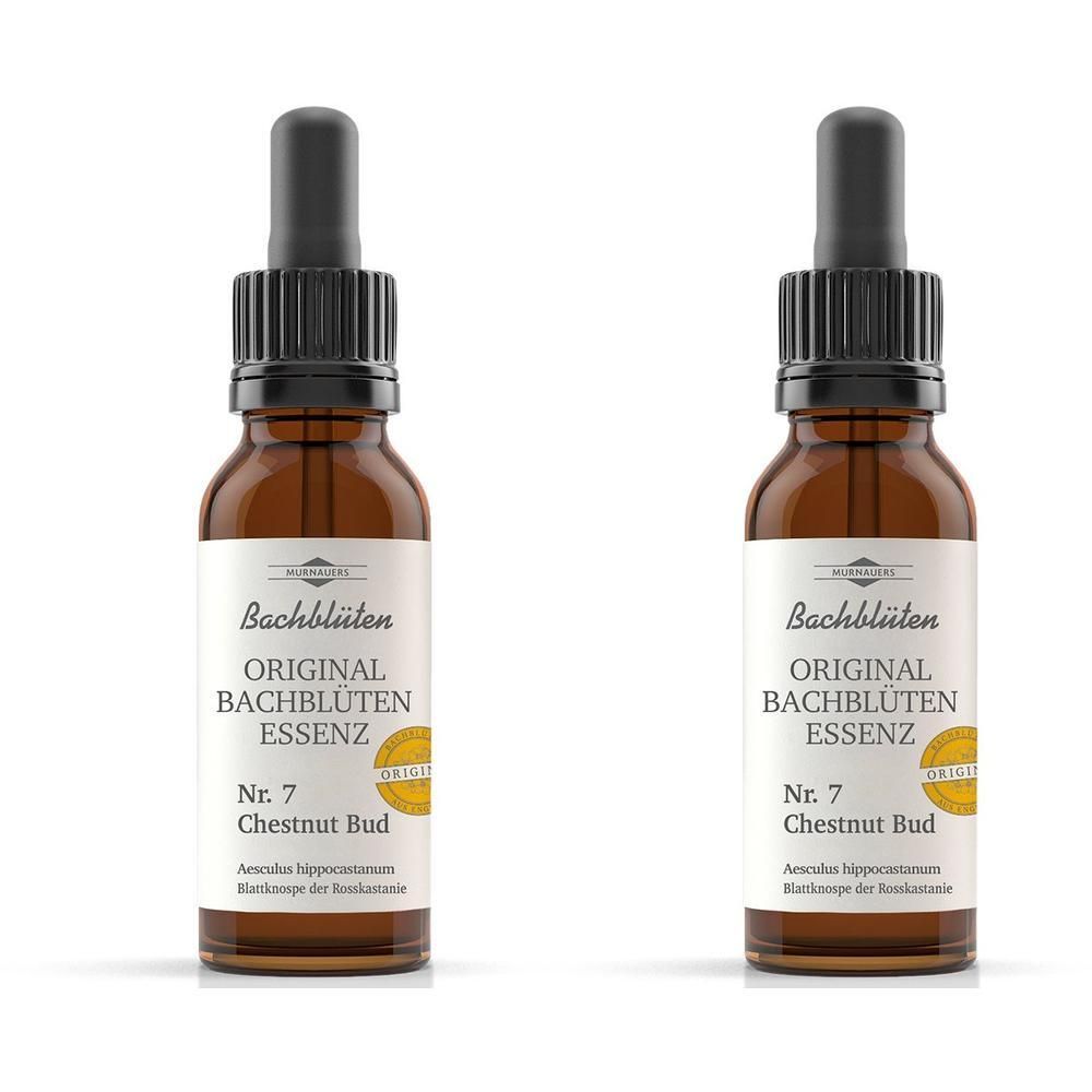 Bachblüten Murnauer Chestnut Bud Tropfen 2x 2x20 ml