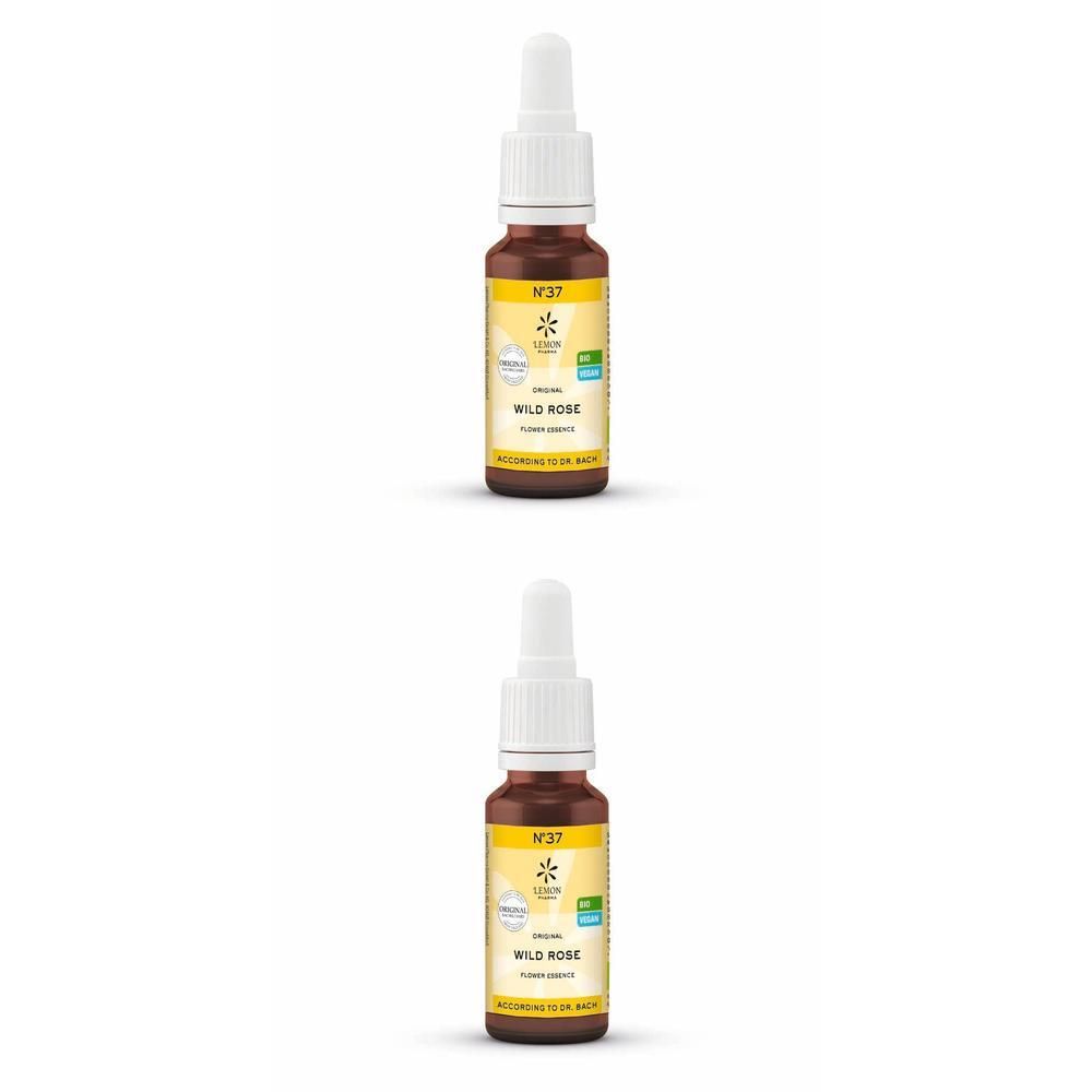 Bachblüten No.37 Wild Rose Bio 2x 2x20 ml