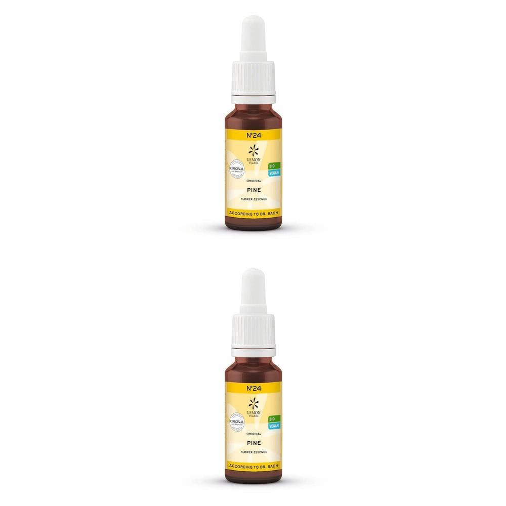 Bachblüten No.24 Pine Bio 2x 2x20 ml