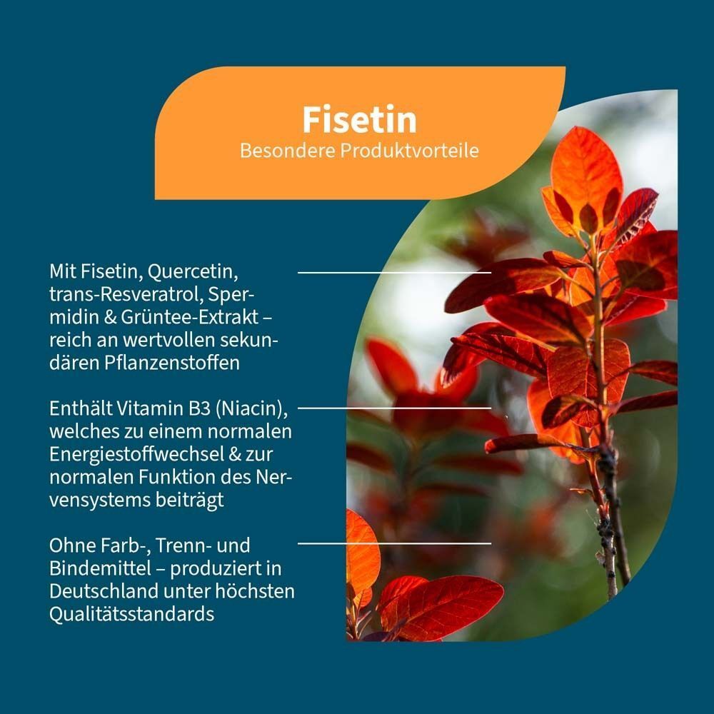 Fisetin, Quercetin, trans-Resveratrol, Spermidin & Grüntee-Extrakt mit Vitamin B3.