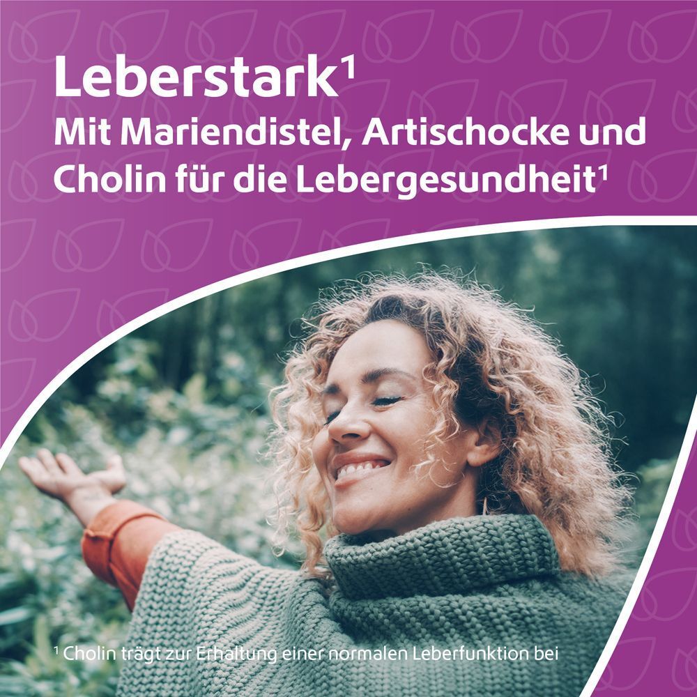 Leber Komplex Mariendistel + Artischocke + Cholin vegan R(h)ein Nutrition