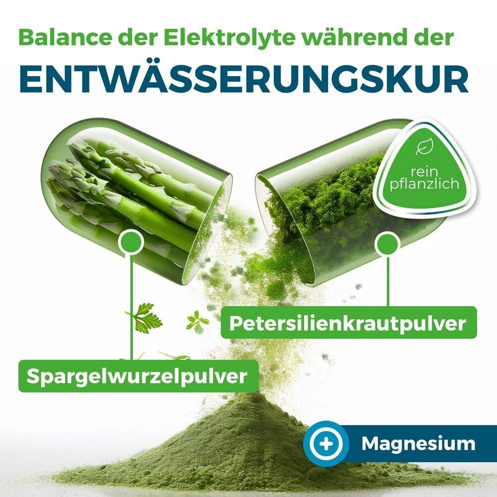 Kapsel-Illustration mit Spargelwurzelpulver und Petersilienkrautpulver. Plus Magnesium. Rein pflanzlich.