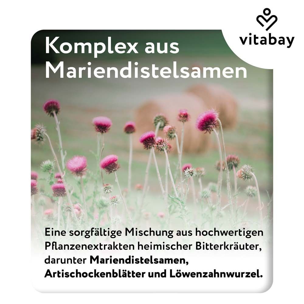 Nahaufnahme von Mariendistelblüten. Text: Komplex aus Mariendistelsamen. Eine Mischung aus Pflanzenextrakten. Marke Vitabay.