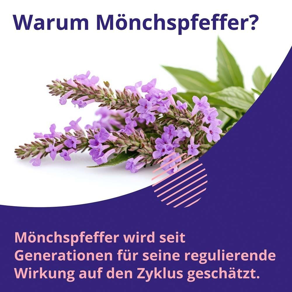 Mönchspfeffer-Blüten. Text: Warum Mönchspfeffer? Mönchspfeffer wird seit Generationen geschätzt.
