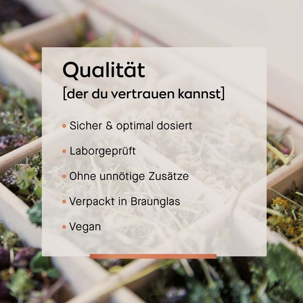 Text über Qualität. Beschreibt: Sicher & optimal dosiert, Laborgeprüft, Ohne unnötige Zusätze, Verpackt in Braunglas, Vegan.