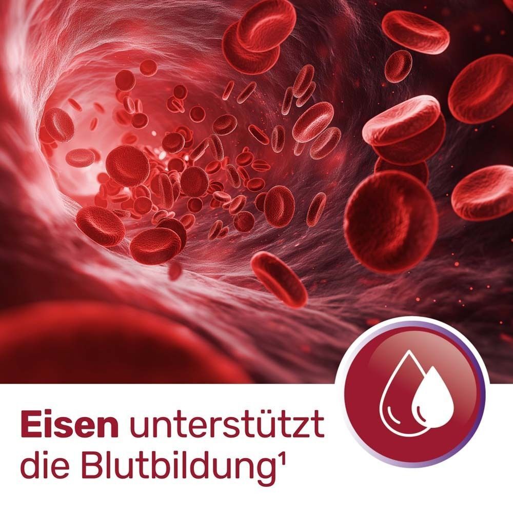Rote Blutgefäße mit roten Blutkörperchen. Tropfensymbol. Text: Eisen unterstützt die Blutbildung.