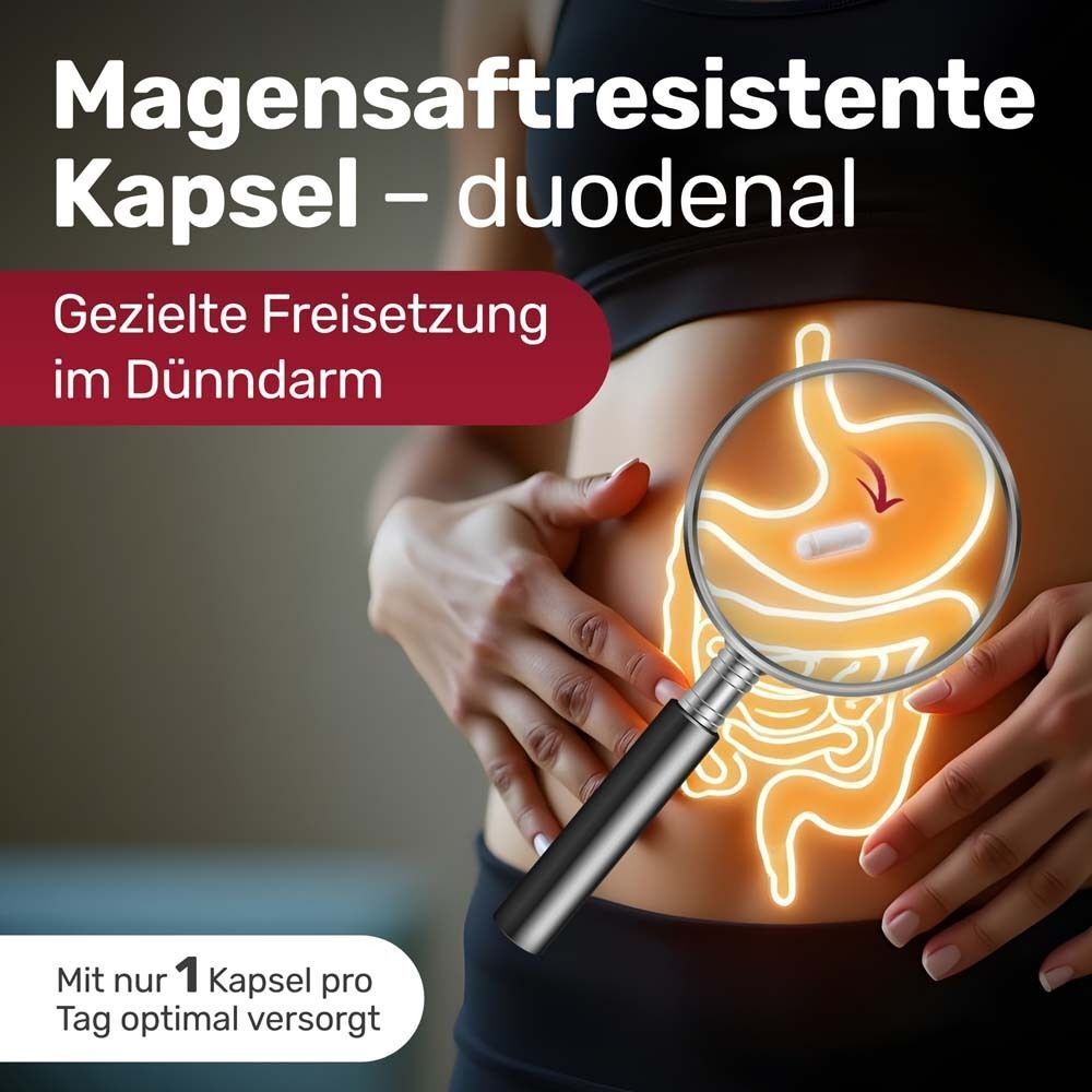 Abbildung des menschlichen Darms. Vergrößerung einer Kapsel im Dünndarm. Text: Magensaftresistente Kapsel - duodenal.