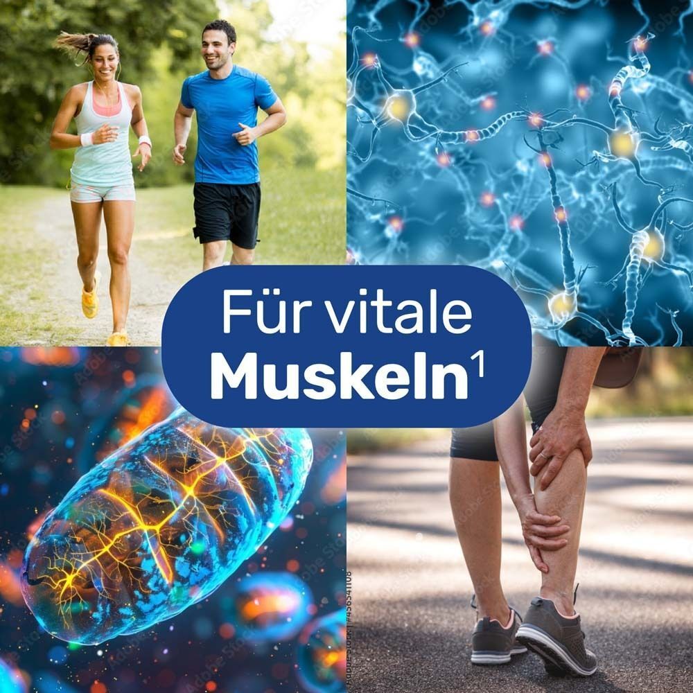 Collage: Läufer, Gehirn, Muskeln, Bein. Text: Für vitale Muskeln.