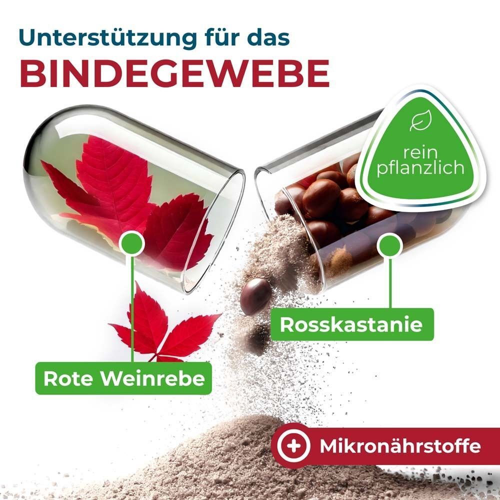 NYRAX® Veno Balance Phytokomplex für das Bindegewebe