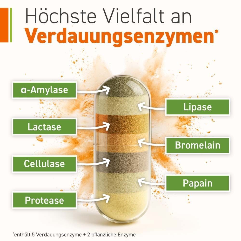 Grafische Darstellung einer Kapsel mit sieben farbigen Schichten. Beschriftung: α-Amylase, Lactase, Cellulase, Protease, Lipase, Bromelain, Papain.