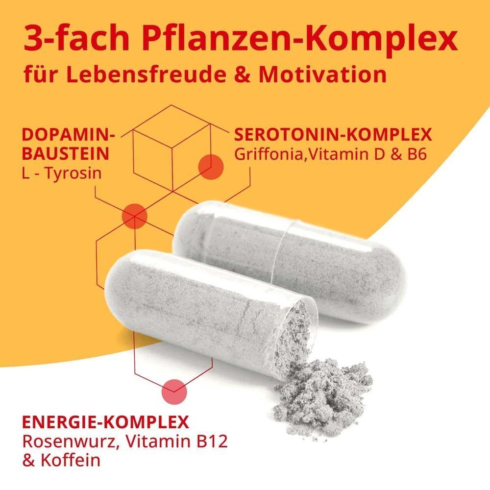 Zwei Kapseln und Pulver. Text: Energie-Komplex, Serotonin-Komplex, Dopamin-Baustein. Inhaltsstoffe.