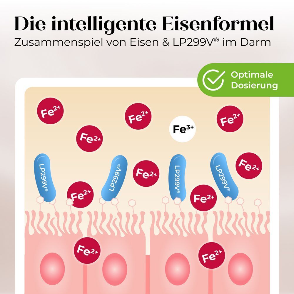 Illustration: Eisenaufnahme im Darm. Rote und blaue Elemente. Text: Die intelligente Eisenformel. Optimale Dosierung.