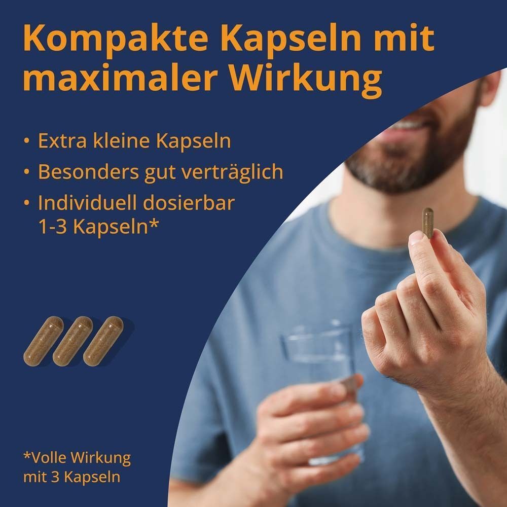 Performx M Mumijo Shilajit Kapseln