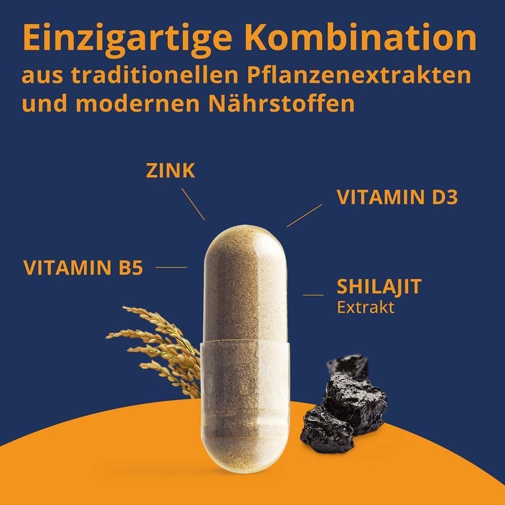 Kapsel mit Inhaltsstoffen. Text: Zink, Vitamin D3, Vitamin B5, Shilajit Extrakt. Hintergrund: blau und orange.