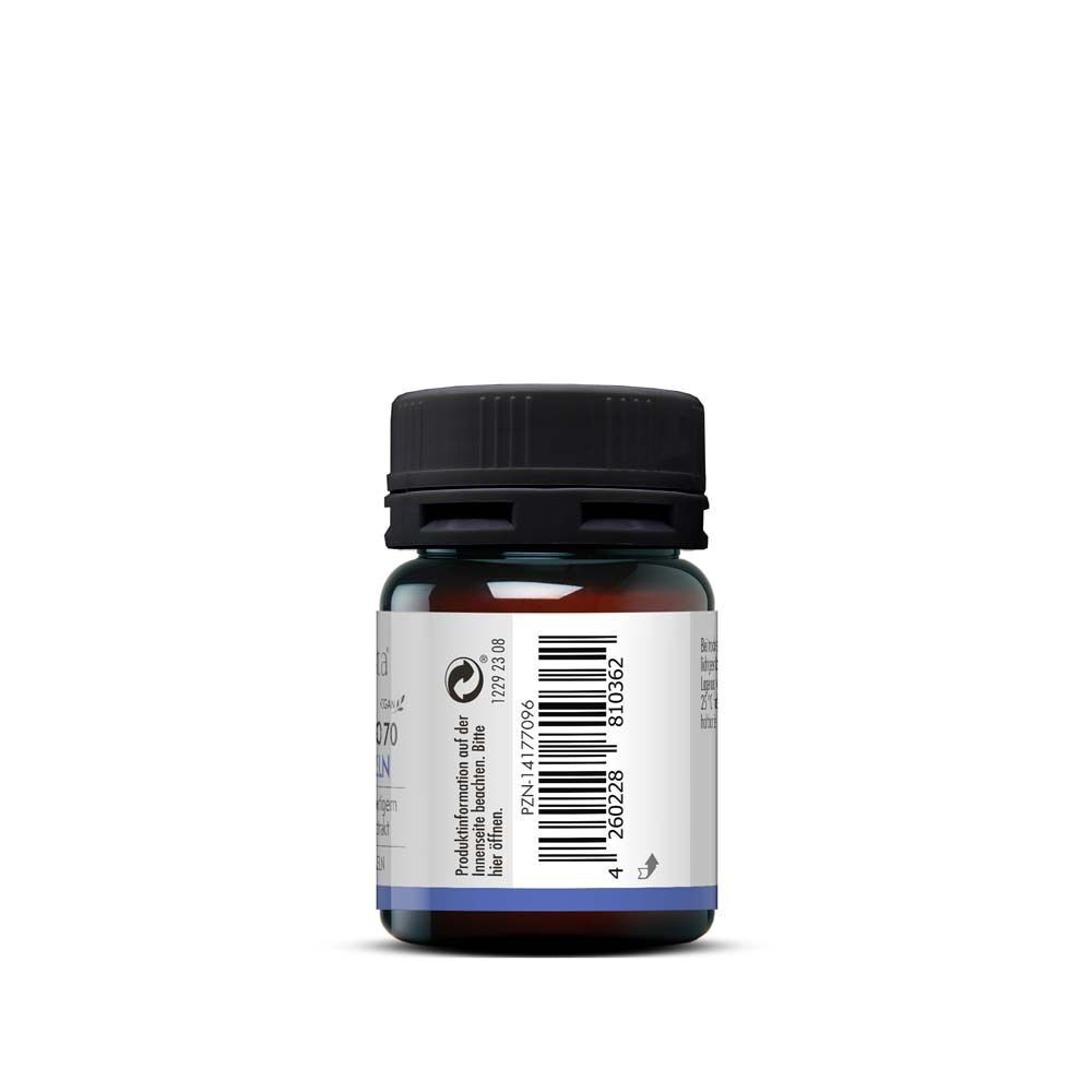 Rückseite einer Flasche sovita® Ginkgo 70 Kapseln. Etikett mit Barcode und Herstellerinformationen. Vegan.