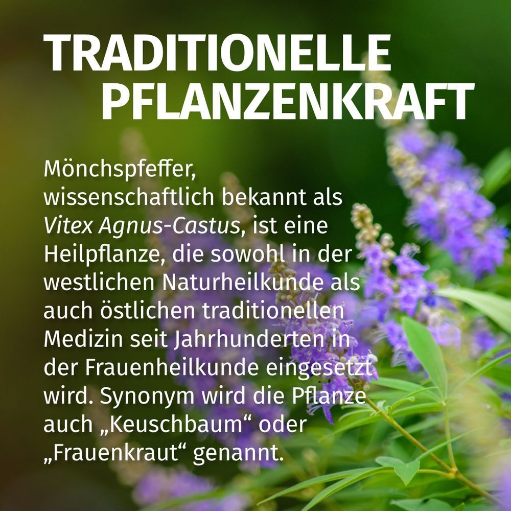 Text über Mönchspfeffer und Vitex Agnus-Castus. Text: Traditionelle Pflanzenkraft.