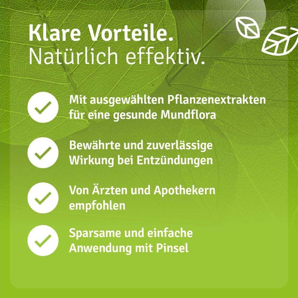 Vorteile: Mit Pflanzenextrakten für gesunde Mundflora, bewährte Wirkung bei Entzündungen, von Ärzten und Apothekern empfohlen, sparsame Anwendung mit Pinsel.