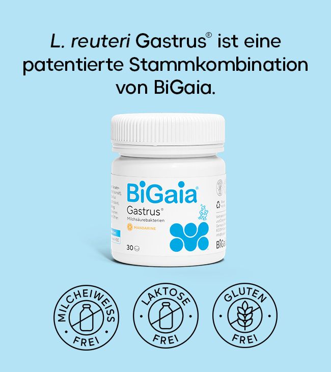 BiGaia Gastrus