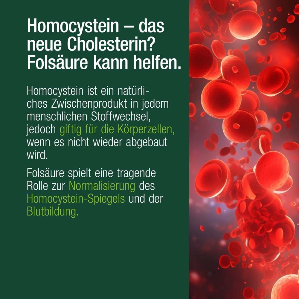 Rote Blutkörperchen. Text: Homocystein - das neue Cholesterin? Folsäure kann helfen.