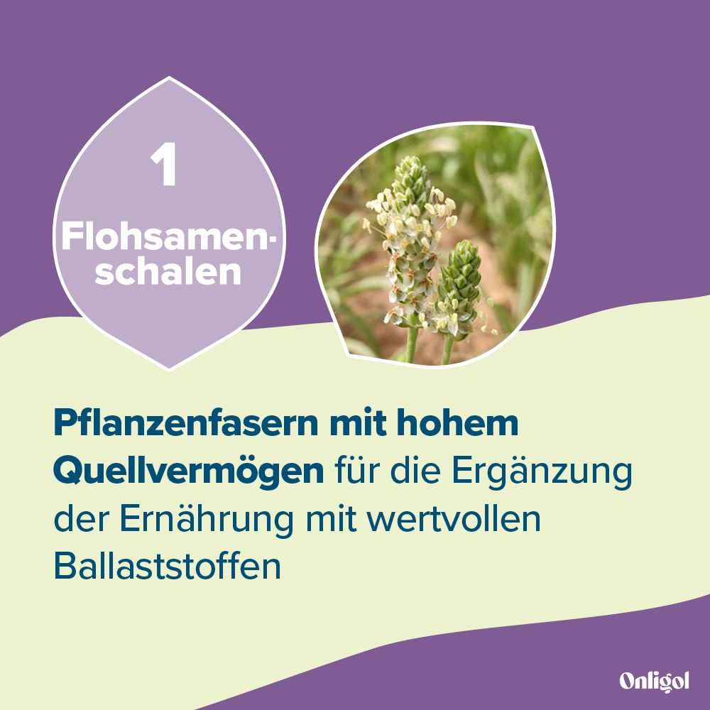 Flohsamenschalen: Pflanzenfasern mit hohem Quellvermögen zur Ergänzung der Ernährung.