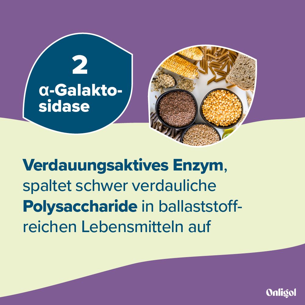 α-Galaktosidase: Enzym spaltet schwer verdauliche Polysaccharide in ballaststoffreichen Lebensmitteln.