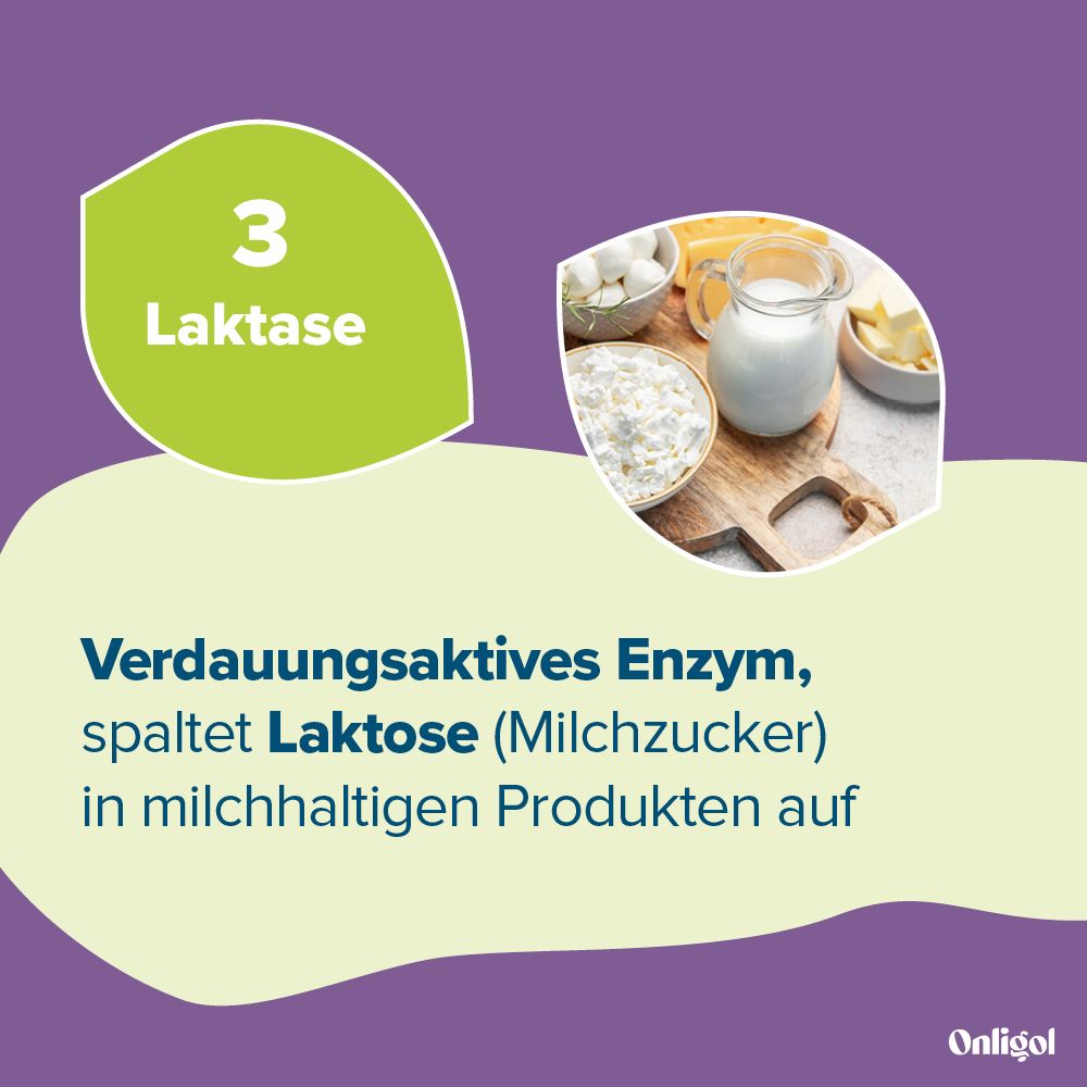 Laktase: Enzym spaltet Laktose (Milchzucker) in milchhaltigen Produkten auf.