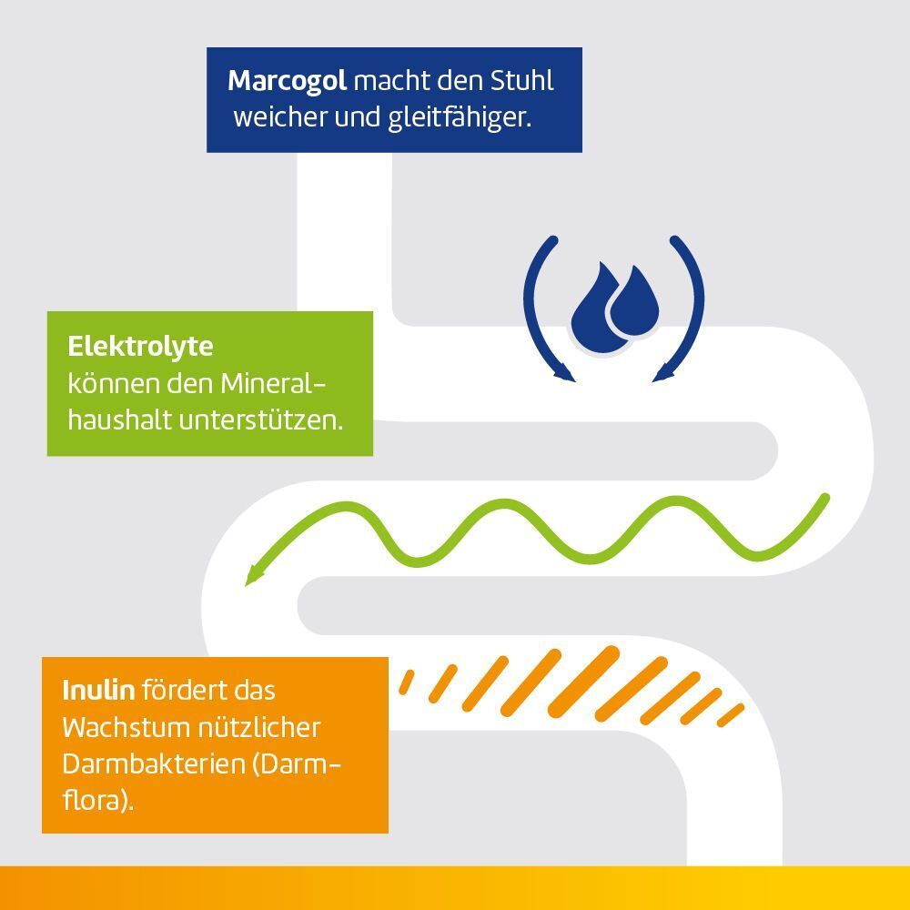 Grafik: Darm mit Pfeilen und Text. Macrogol macht den Stuhl weicher. Elektrolyte unterstützen den Mineralhaushalt. Inulin fördert Darmflora.