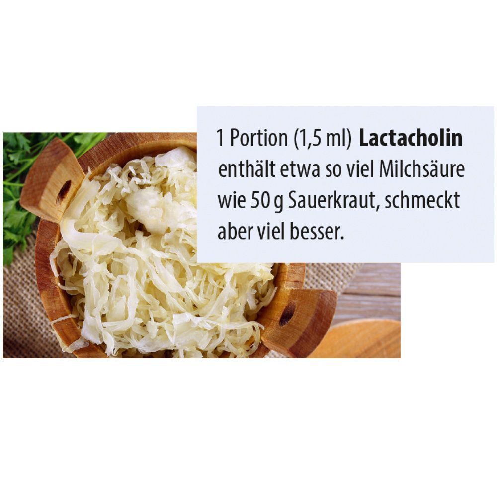 Schüssel mit Sauerkraut. Text: 1 Portion Lactacholin enthält so viel Milchsäure wie 50g Sauerkraut. Aufschrift: Lactacholin.