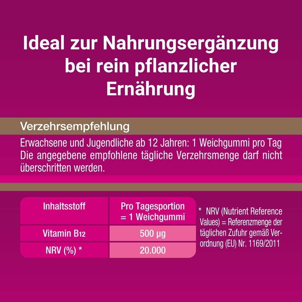 Text über Nahrungsergänzung bei rein pflanzlicher Ernährung. Tabelle mit Inhaltsstoff Vitamin B12 (500 µg) und NRV (20.000%).