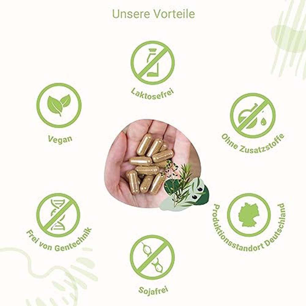 Infografik mit Symbolen für 'Vegan', 'Laktosefrei', 'Ohne Zusatzstoffe', 'Frei von Gentechnik', 'Sojafrei' und 'Produktionsstandort Deutschland'.