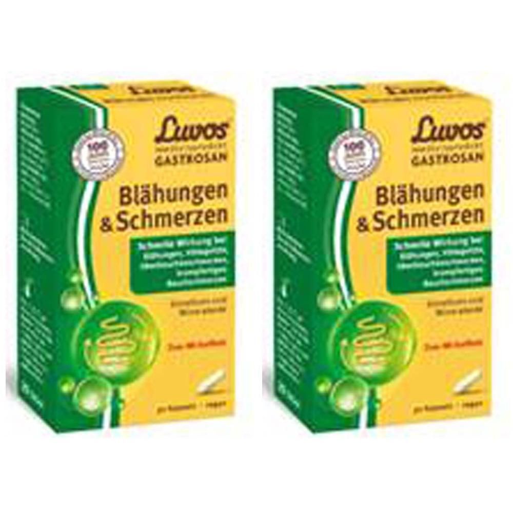 Zwei Schachteln mit gelb-grüner Verpackung. Aufschrift: Luvos Gastrosan Blähungen & Schmerzen. Logo mit 100 Jahre.