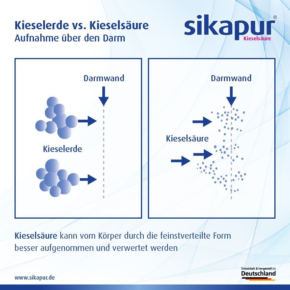 sikapur® Kieselsäure Gel-Sticks rote Beeren