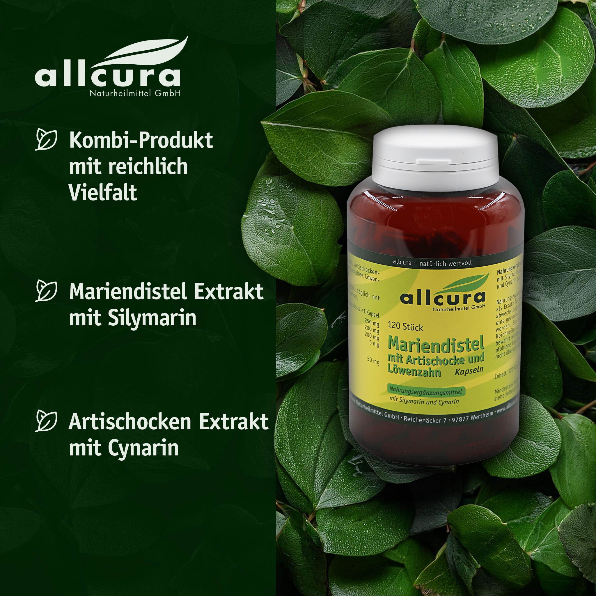 allcura Mariendistel mit Artischocke und Löwenzahn