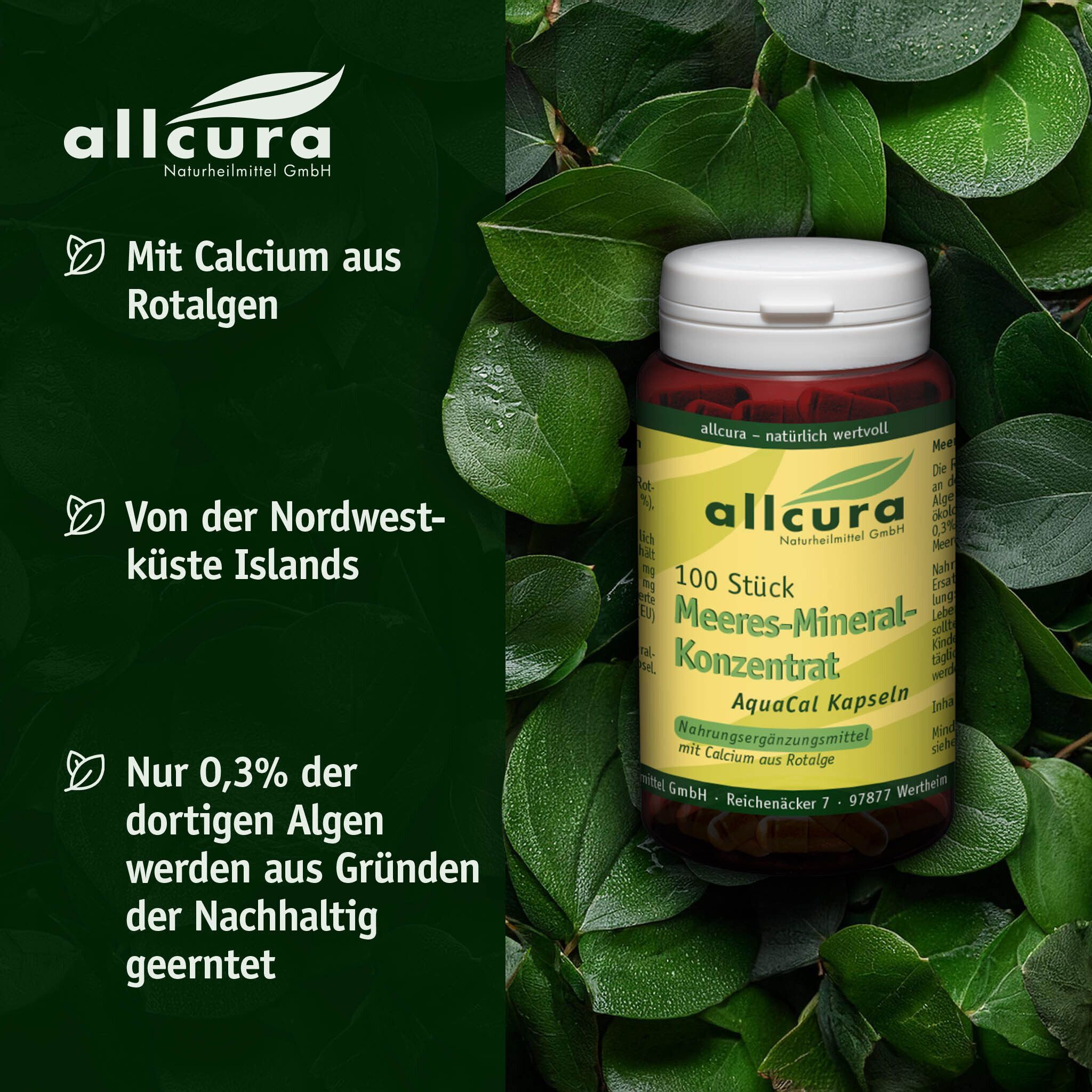 Eine Flasche mit Kapseln, umgeben von Blättern. Aufschrift: allcura, 100 Stück Meeres-Mineral-Konzentrat, AquaCal Kapseln. Mit Calcium aus Rotalgen.