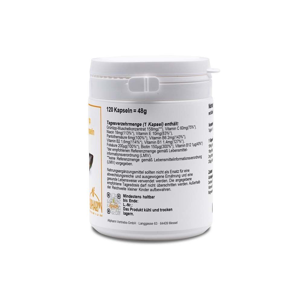 Weißer Behälter, Rückseite. Aufschrift: 120 Kapseln = 48g. Text mit Inhaltsstoffen und Nährwertangaben. Logo: Allpharm Premium.