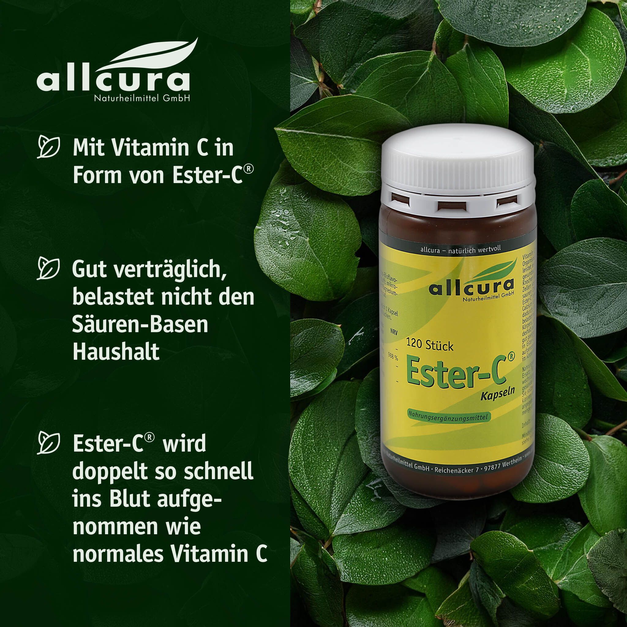 Braune Flasche mit weißem Deckel, umgeben von Blättern. Aufschrift: Ester-C Kapseln, 120 Stück. Marke: allcura.