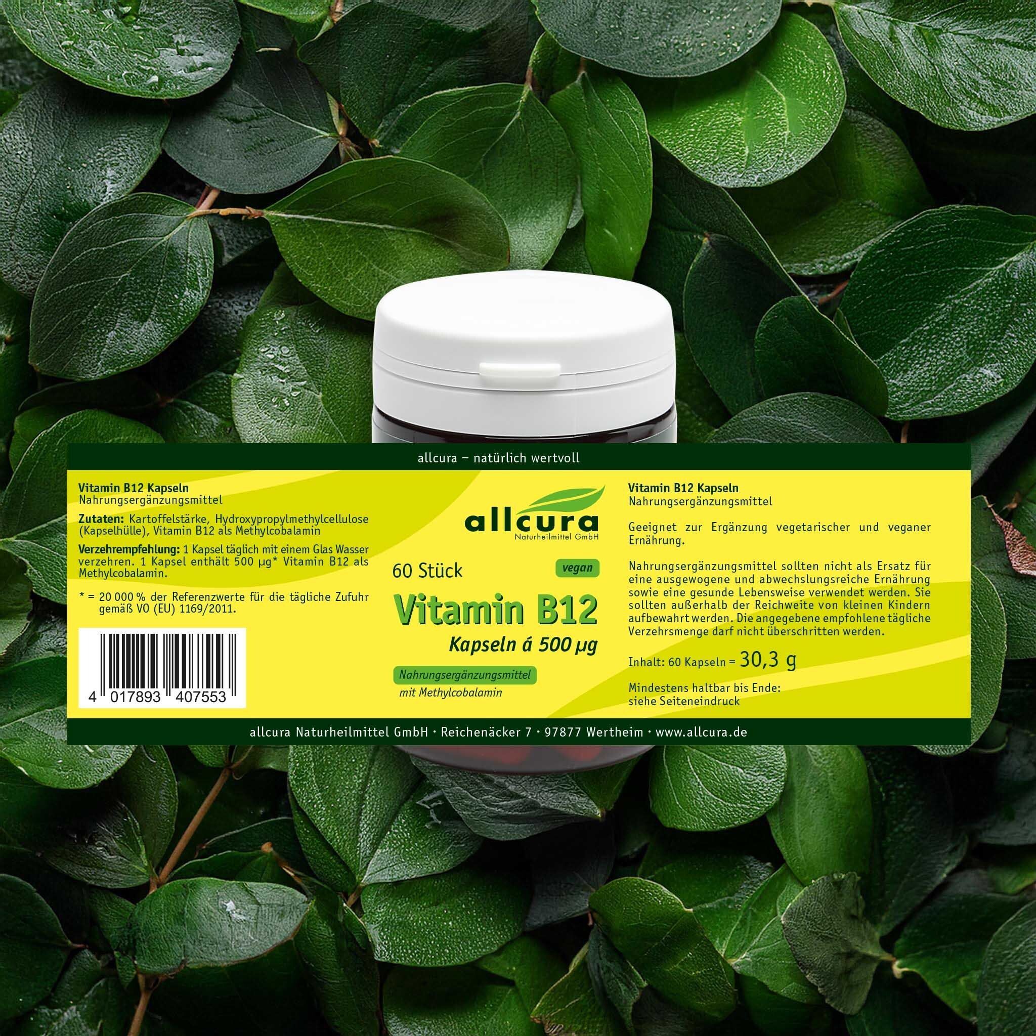 Eine Vitamin B12 Dose mit Etikett, umgeben von grünen Blättern. Aufschrift: Vitamin B12 Kapseln á 500 µg. Marke: allcura.