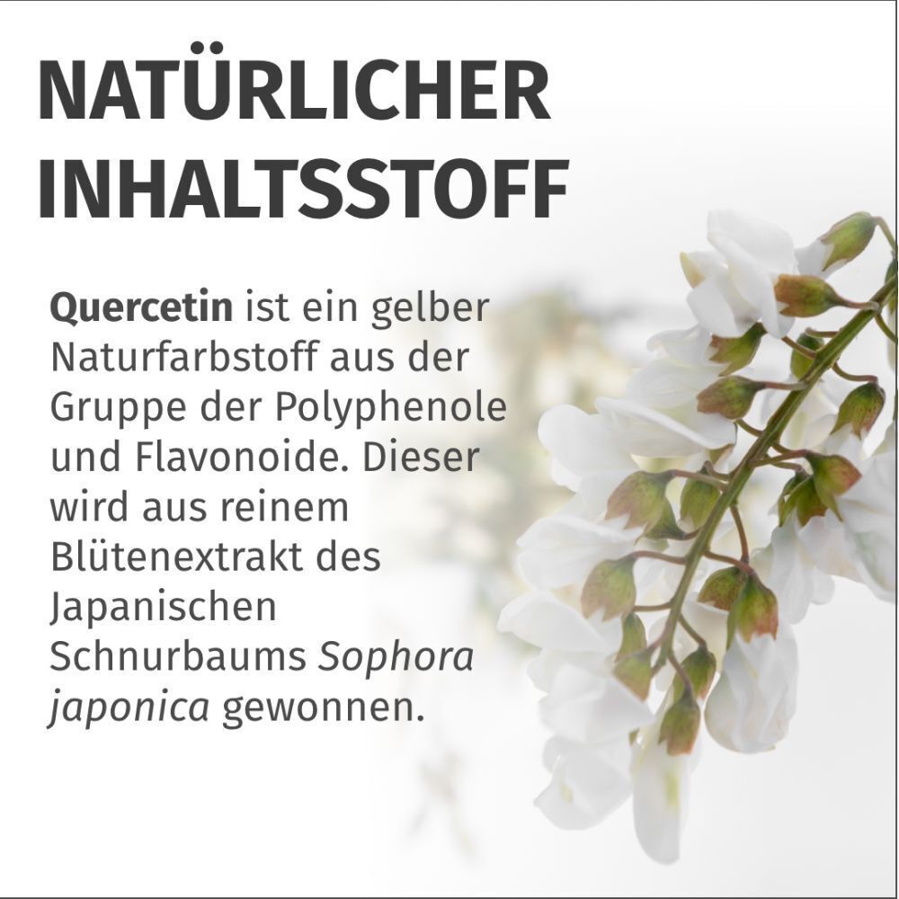 Text über Quercetin. Text: gelber Naturfarbstoff aus der Gruppe der Polyphenole und Flavonoide.