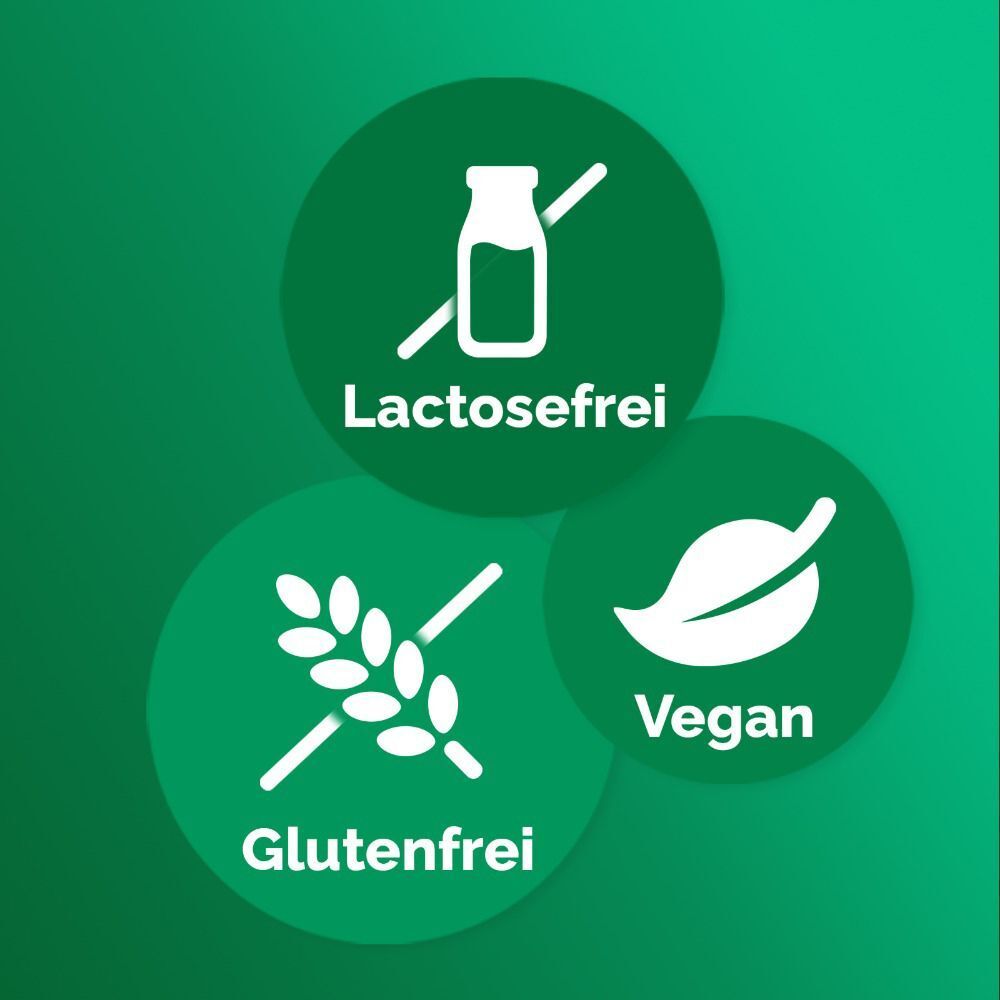 Kreise mit Symbolen: Lactosefrei, Glutenfrei, Vegan. Grüne Hintergründe.