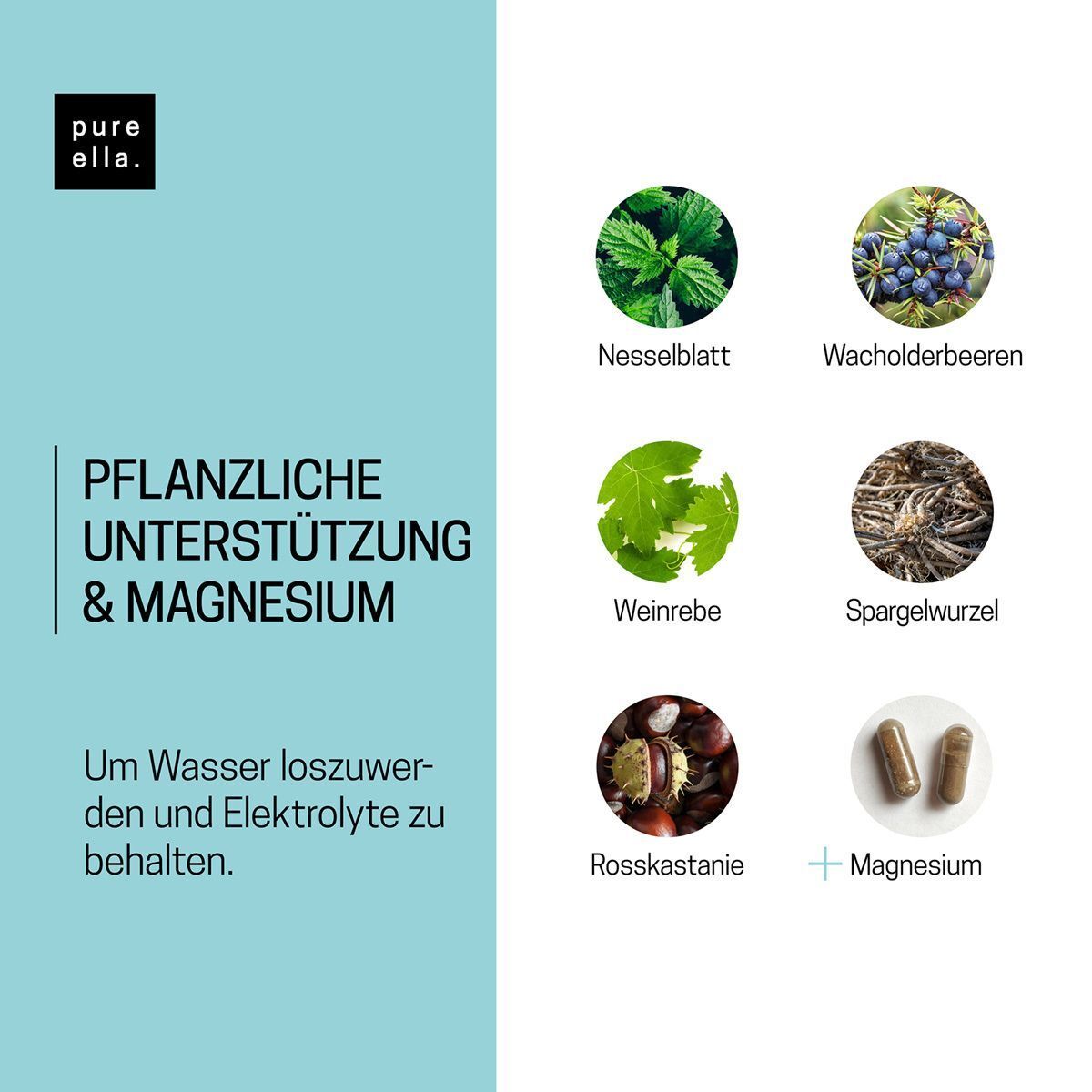 Icons: Nesselblatt, Wacholderbeeren, Weinrebe, Spargelwurzel, Rosskastanie, Magnesium. Text: Pflanzliche Unterstützung & Magnesium.