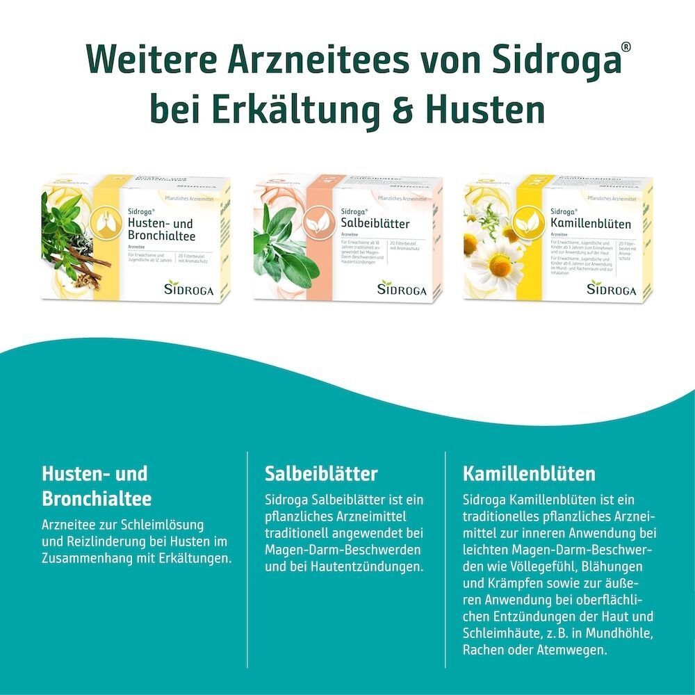 Sidroga® Teesorten bei Erkältung & Husten: Husten- und Bronchialtee, Salbeiblätter, Kamillenblüten.