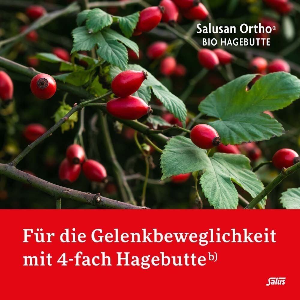 Salus® Salusan Ortho Bio-Hagebutten-Tonikum