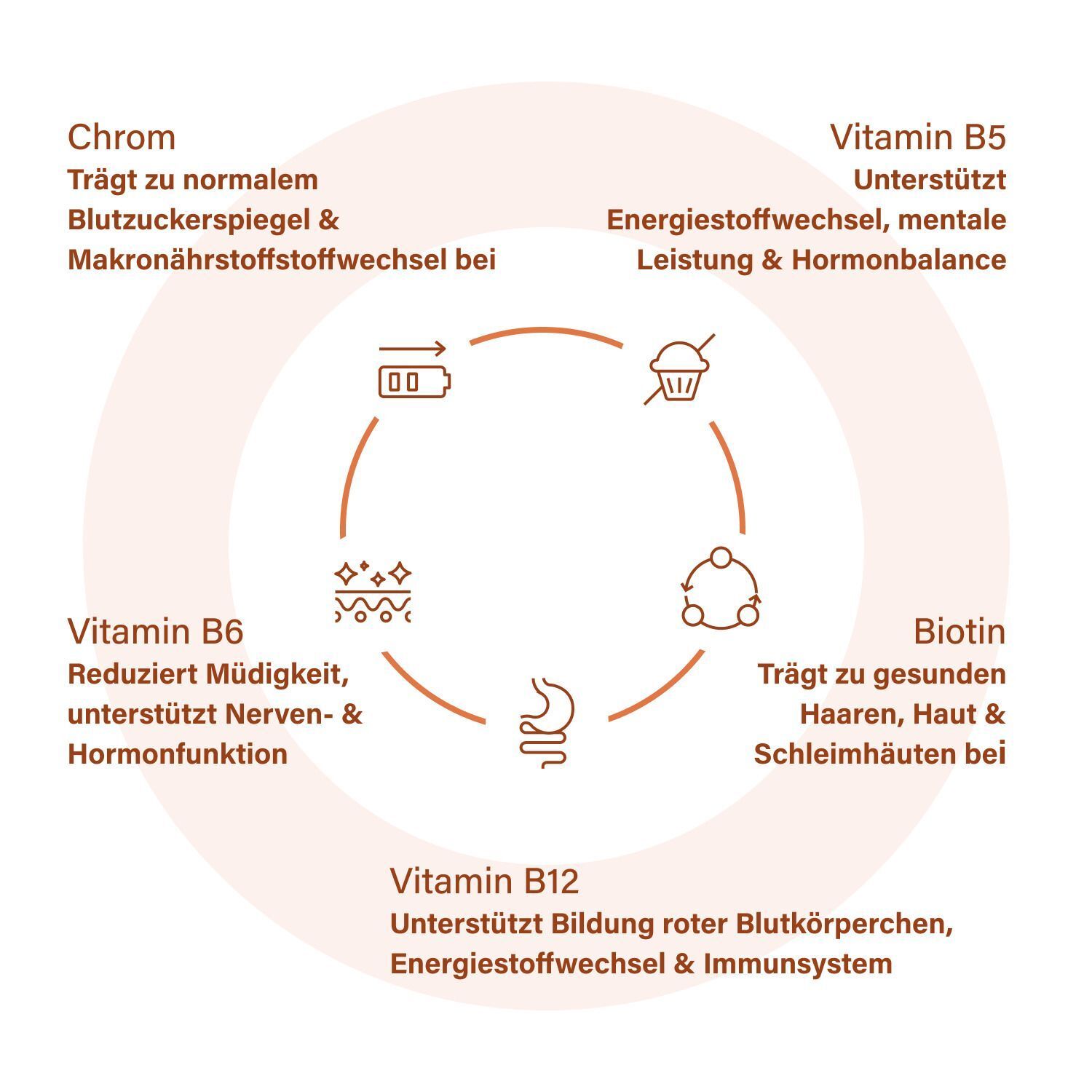 Kreisförmige Darstellung von Vitaminen und Mineralien. Enthält Chrom, Vitamin B5, B6, B12 und Biotin.