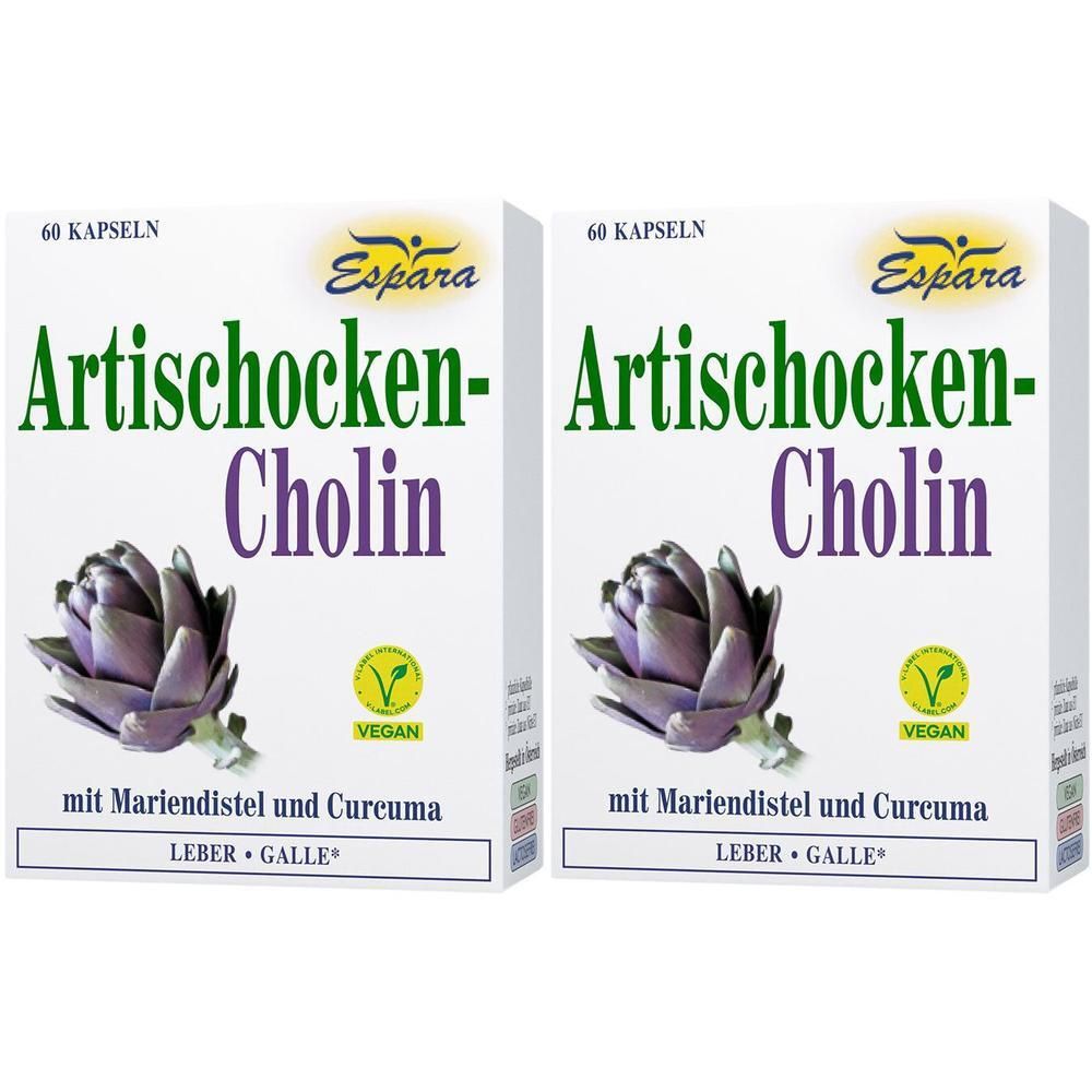 Artischocken Cholin Kapseln 2x 2x60 St