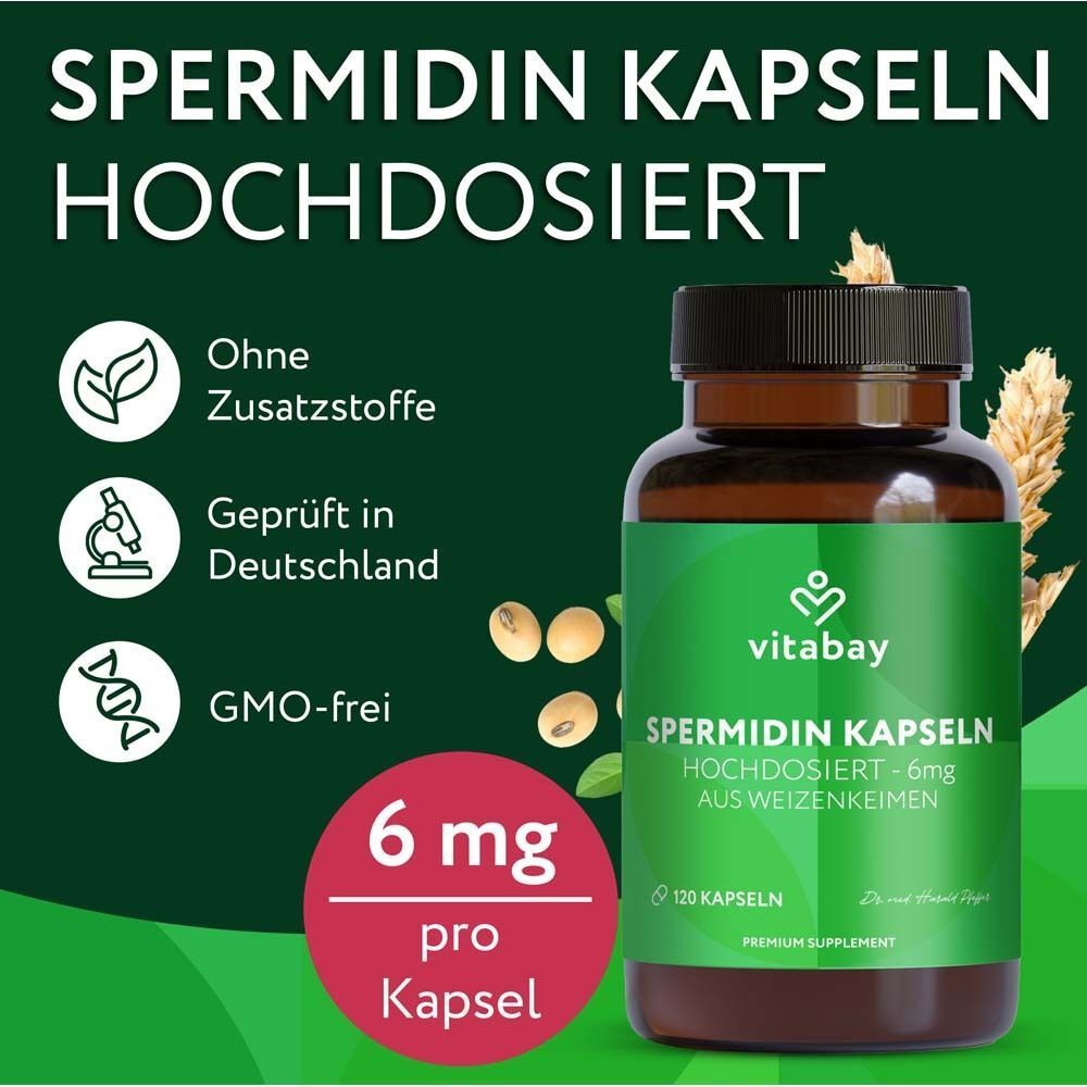 Flasche mit Kapseln. Aufschrift: Spermidin Kapseln, 6 mg, aus Weizenkeimen. Ohne Zusatzstoffe, GMO-frei. Marke: Vitabay.