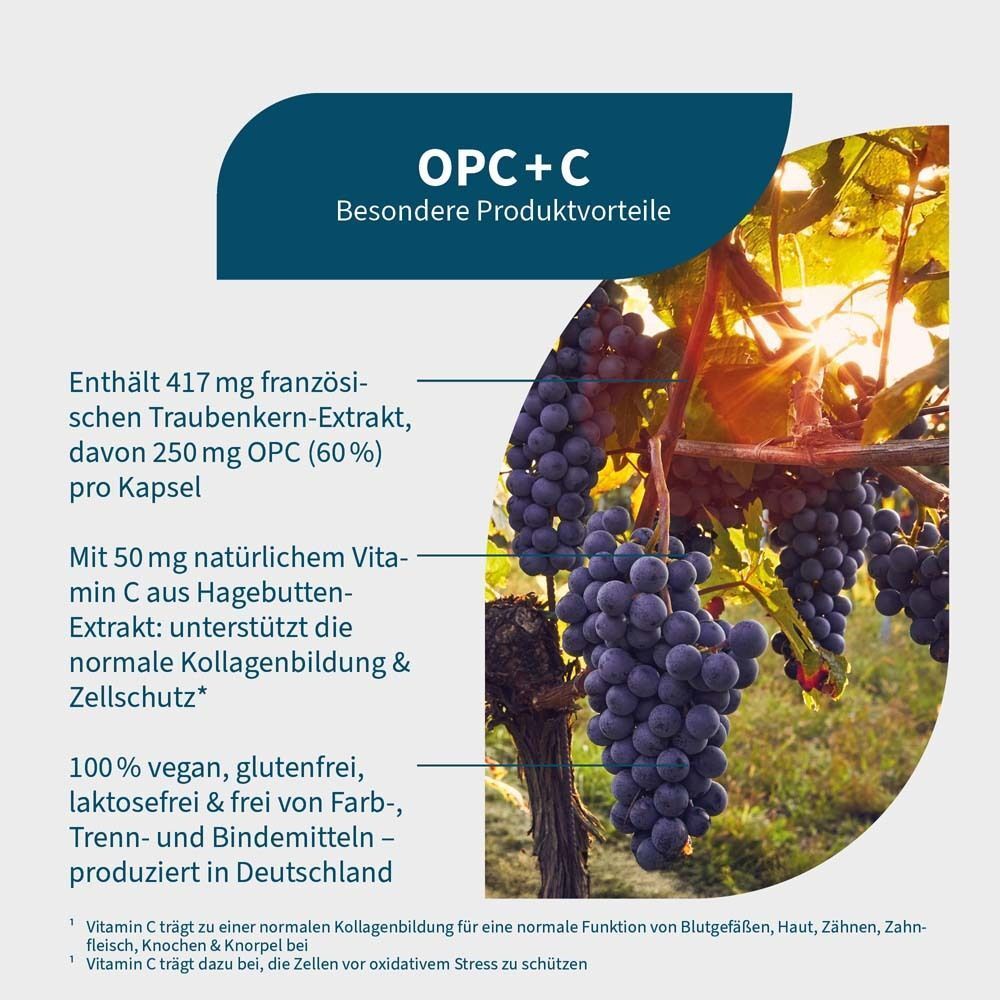 Grafik mit Trauben und Text. Enthält 417 mg Traubenkern-Extrakt, 250 mg OPC. Mit 50 mg Vitamin C. 100% vegan, glutenfrei, laktosefrei.