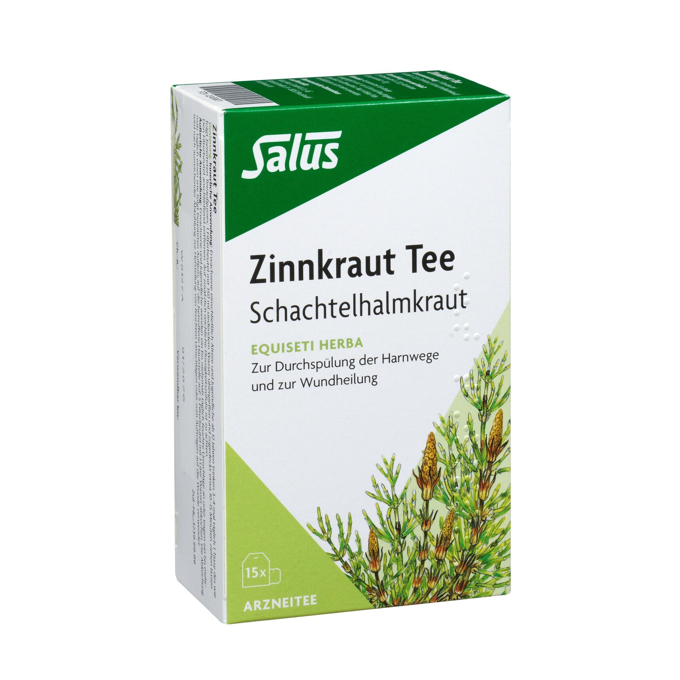 Packung Salus Zinnkraut Tee (Schachtelhalmkraut). 15 Filterbeutel à 2g. Abbildung von Schachtelhalm.