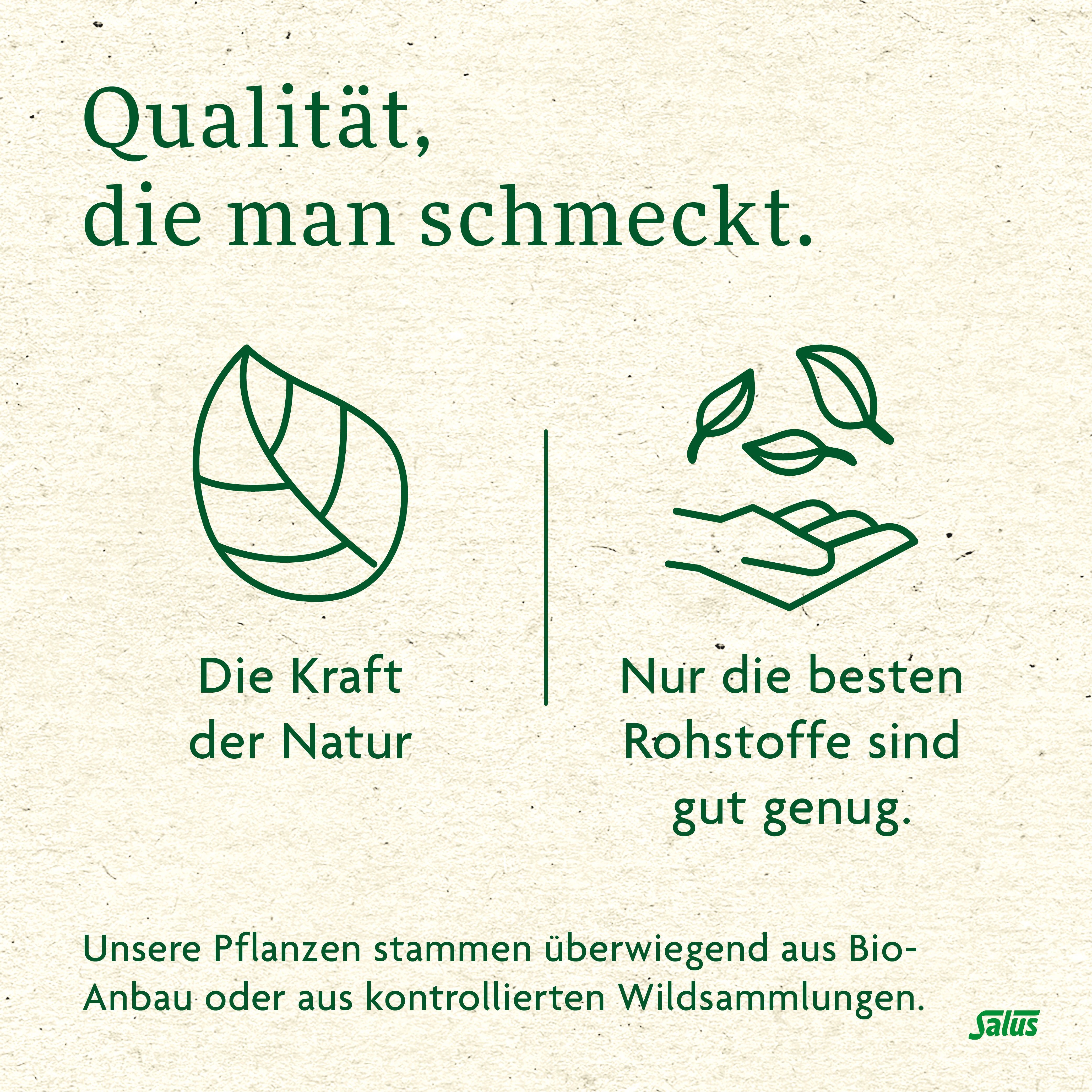 Grafiken: Blatt-Symbol, Hand mit Blättern, "Die Kraft der Natur", "Nur die besten Rohstoffe sind gut genug".