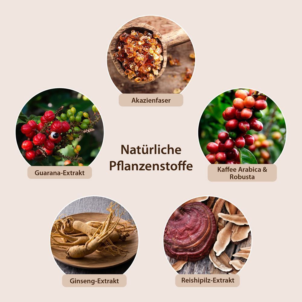 Infografik: Natürliche Pflanzenstoffe. Guarana-Extrakt, Kaffee Arabica & Robusta, Ginseng-Extrakt, Reishipilz-Extrakt.
