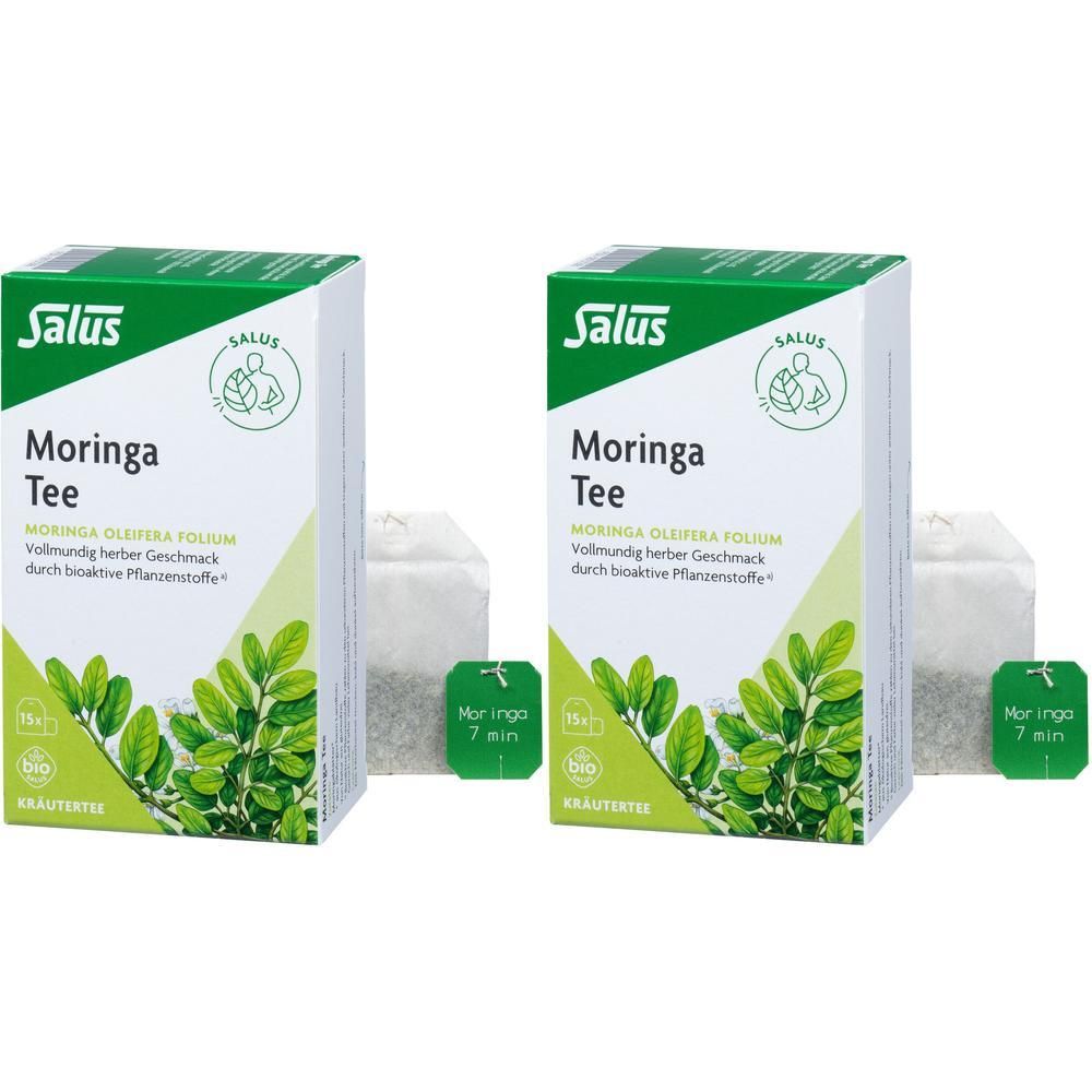 Moringa TEE Bio oleifera folium Salus Fbtl 2x 2x15 St Filterbeutel